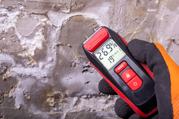 Best Mold Testing and Inspection Services in Odenton, MD